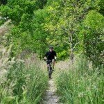 A Cyclist is Born A Cyclist is Born
