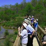 Wildlife Watching at Wolf Creek Park Wildlife Watching at Wolf Creek Park