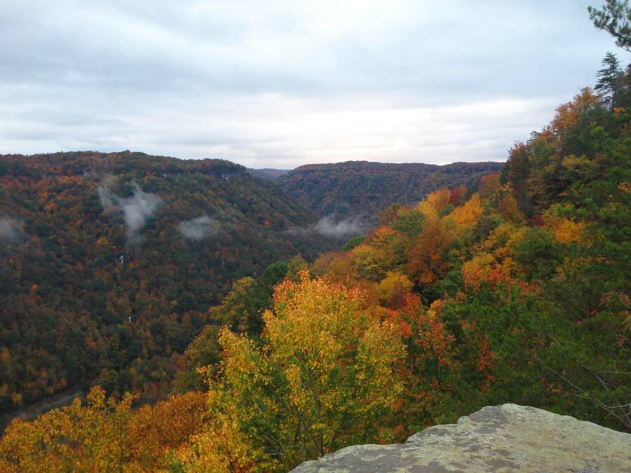 fall colors New River Gorge WV